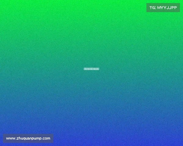 周琦小丁赛事周琦替补