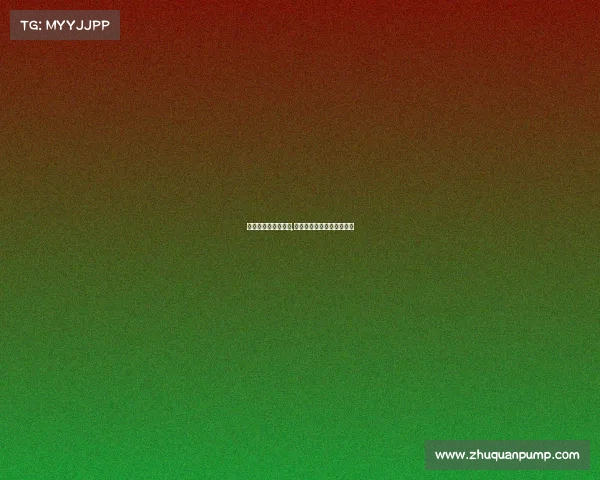 南京女排决赛时间表,南京女排今日赛事激战正酣